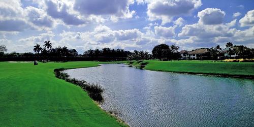 golf article